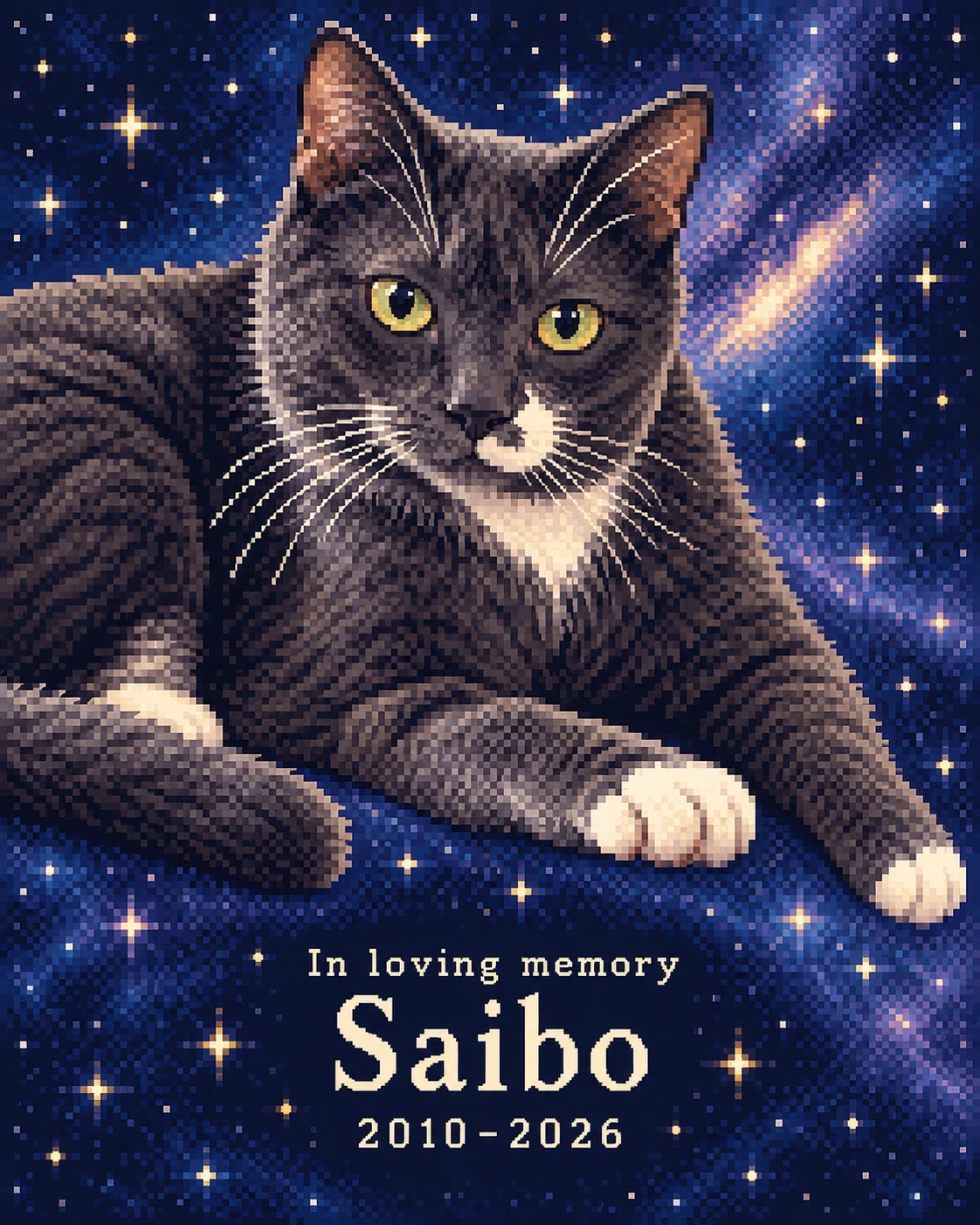 In loving memory: Saibo, 2010–2026. A pixel-art portrait of a grey and white cat with green eyes, lying among the stars of a deep blue night sky.
